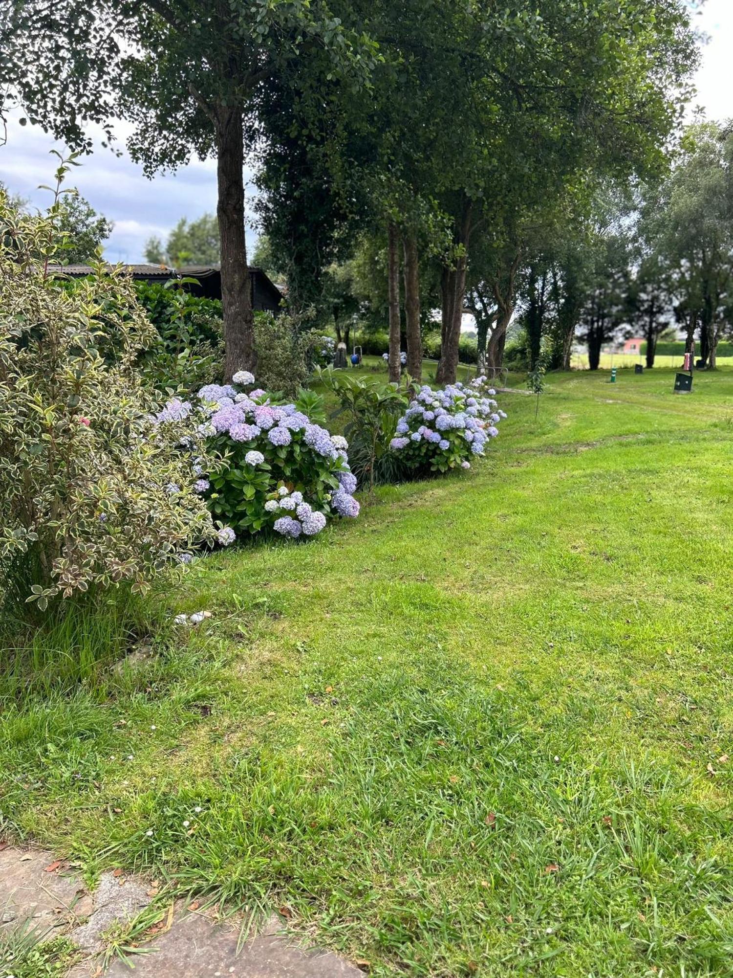 Camping A Grandella El Franco Exteriér fotografie